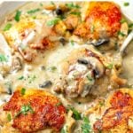 Creamy French Chicken Fricassee (Instant Pot Recipe))