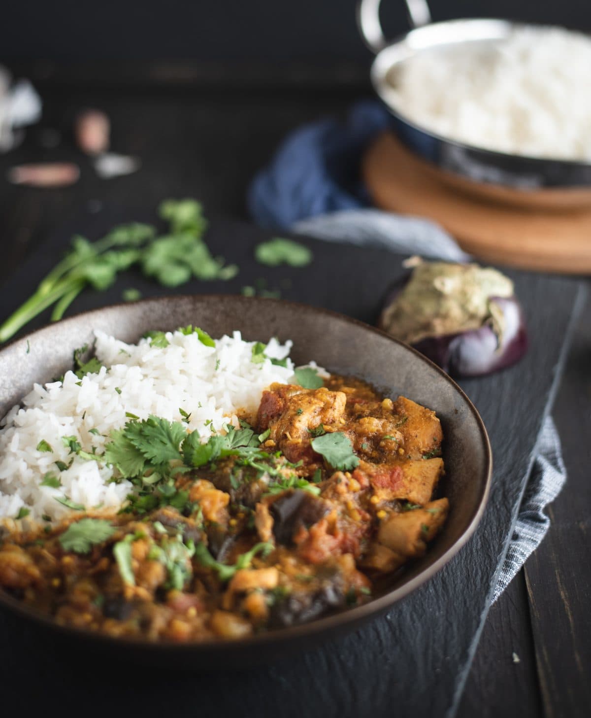 Instant Pot Chicken Curry with Eggplant