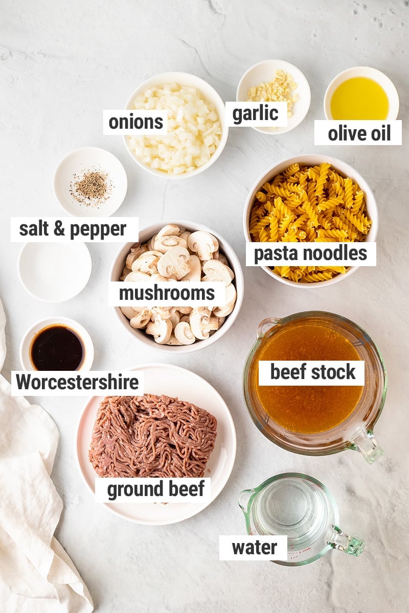 Ground beef stroganoff ingredients