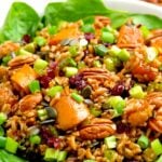 Brown Rice, Sweet Potato & Cranberry Salad