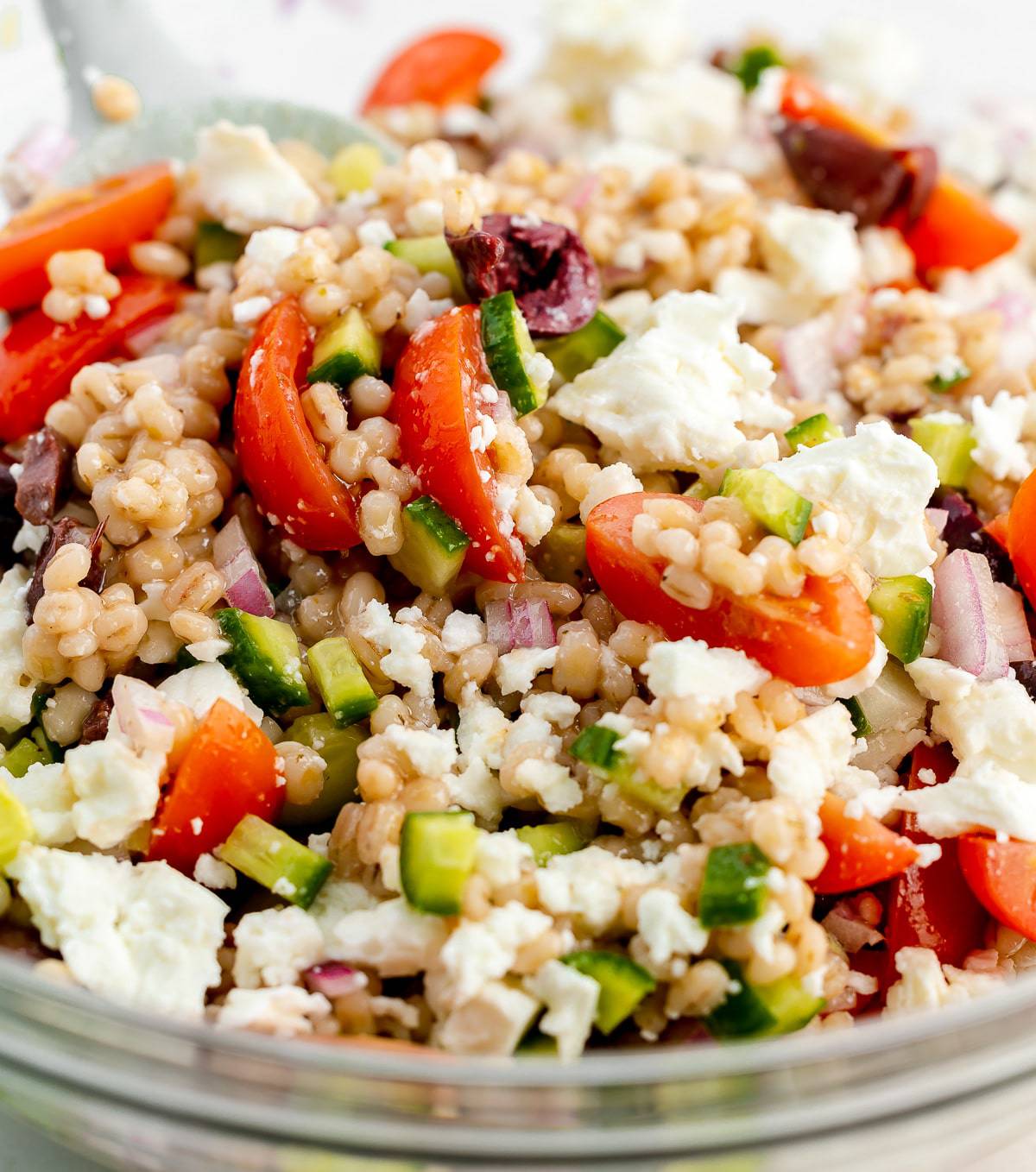 Barley Greek Salad