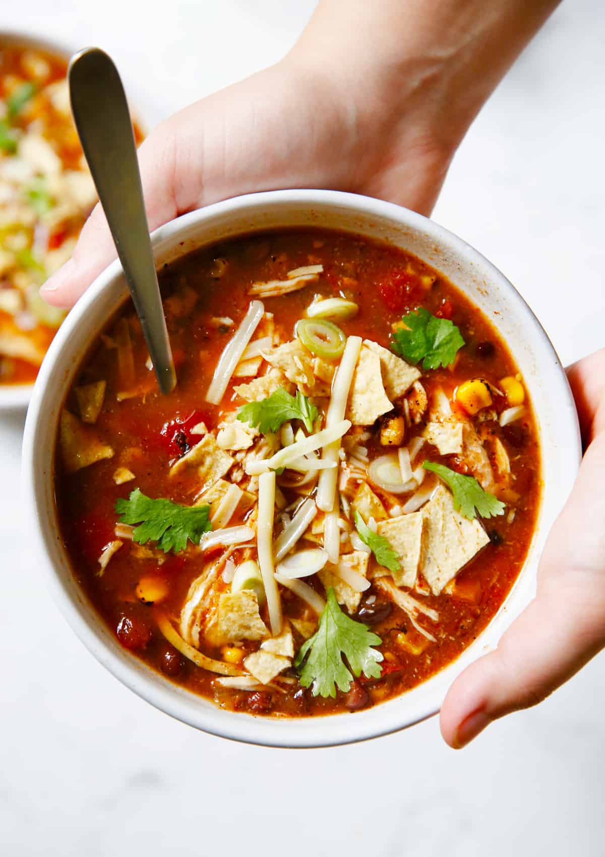 Instant Pot Southwest Chicken Soup