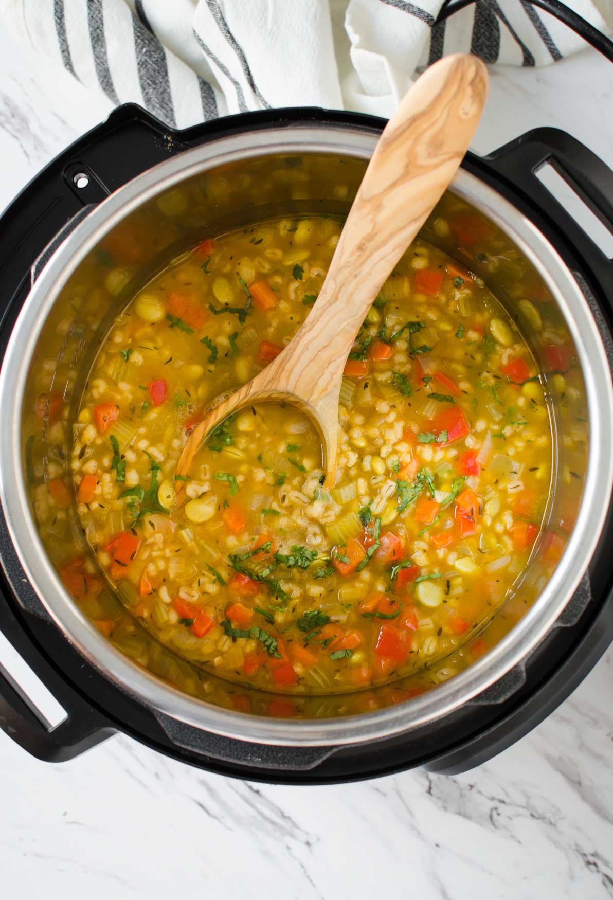 Instant Pot Vegetable Barley Soup