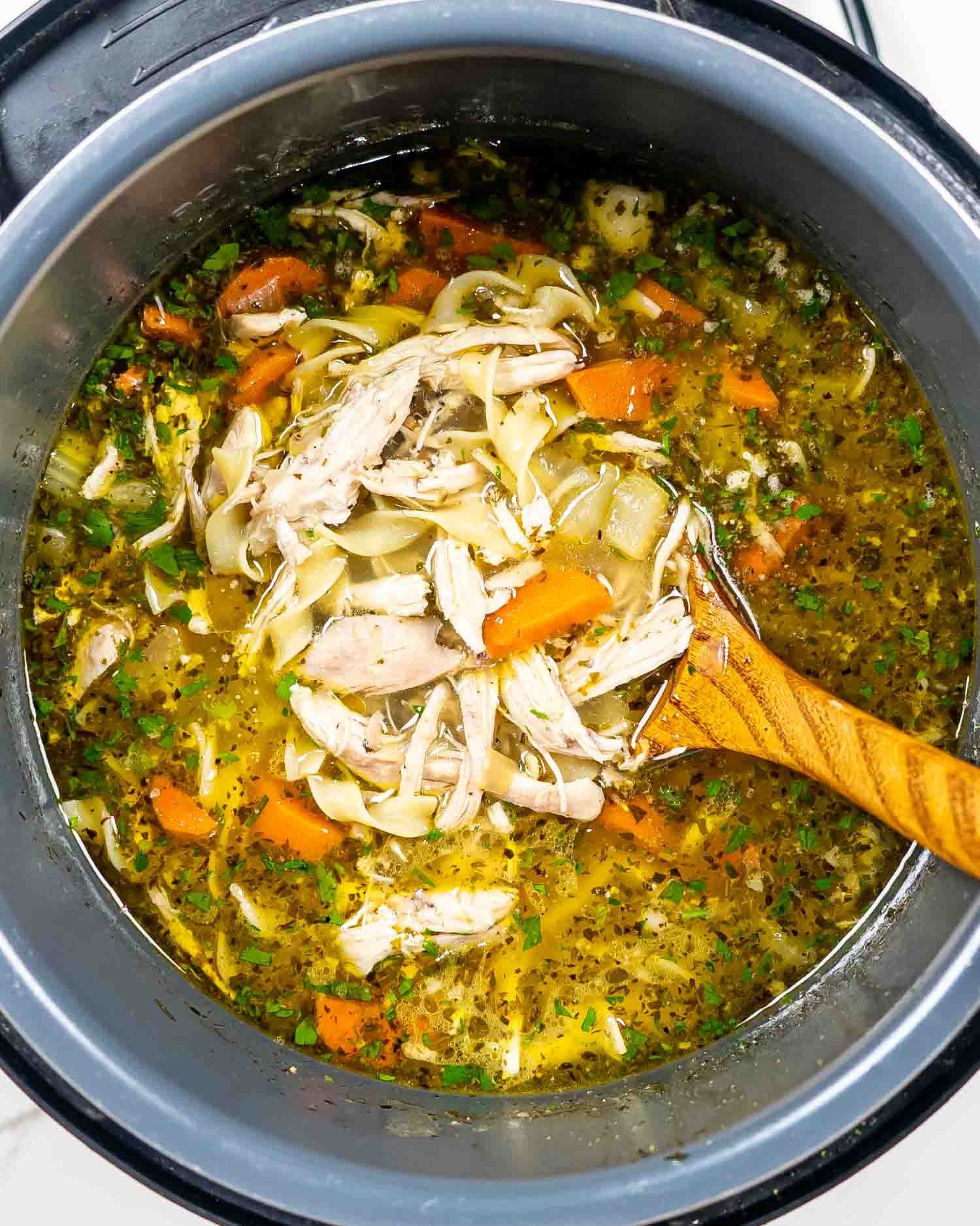 Instant Pot Chicken Noodle Soup