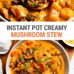 Creamy Instant Pot Mushroom Stew With Garlic Crumbs