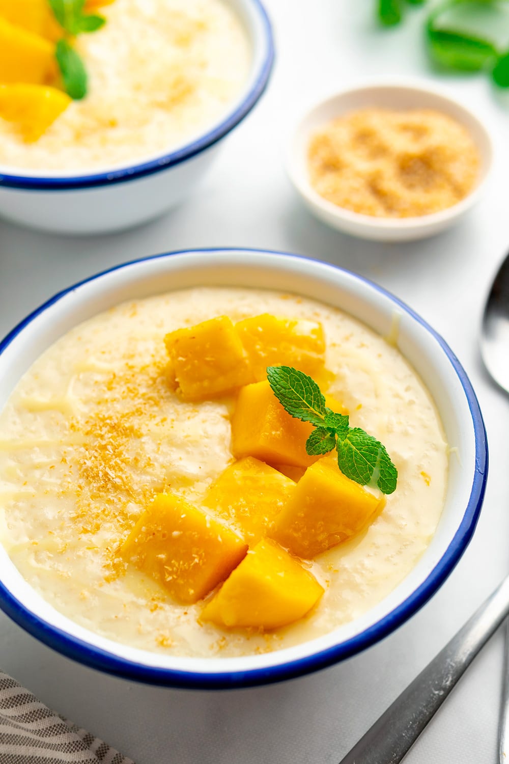 https://instantpoteats.com/wp-content/uploads/2023/03/coconut-rice-pudding-instant-pot-image-3.jpg