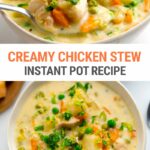 Instant Pot Chicken Stew With Leek, Carrots & Peas