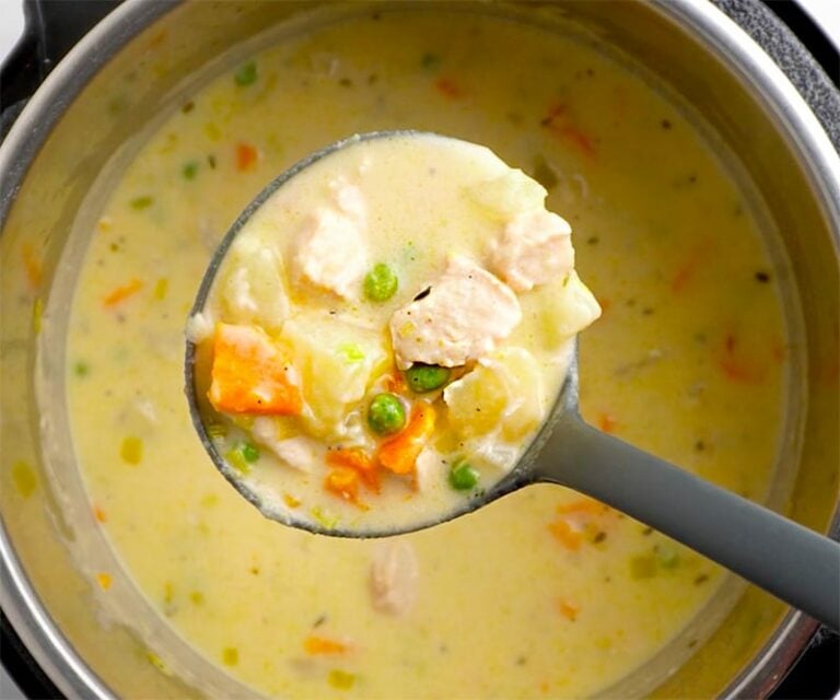 Instant Pot Chicken Stew With Leeks, Carrots & Peas
