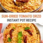 Instant Pot Creamy Sun Dried Tomato Orzo