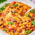 Instant Pot Salsa Chicken recipe feature