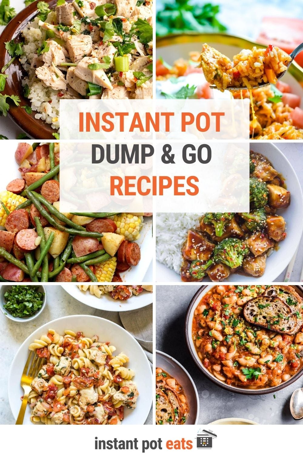 Dump and Go Instant Pot Recipes