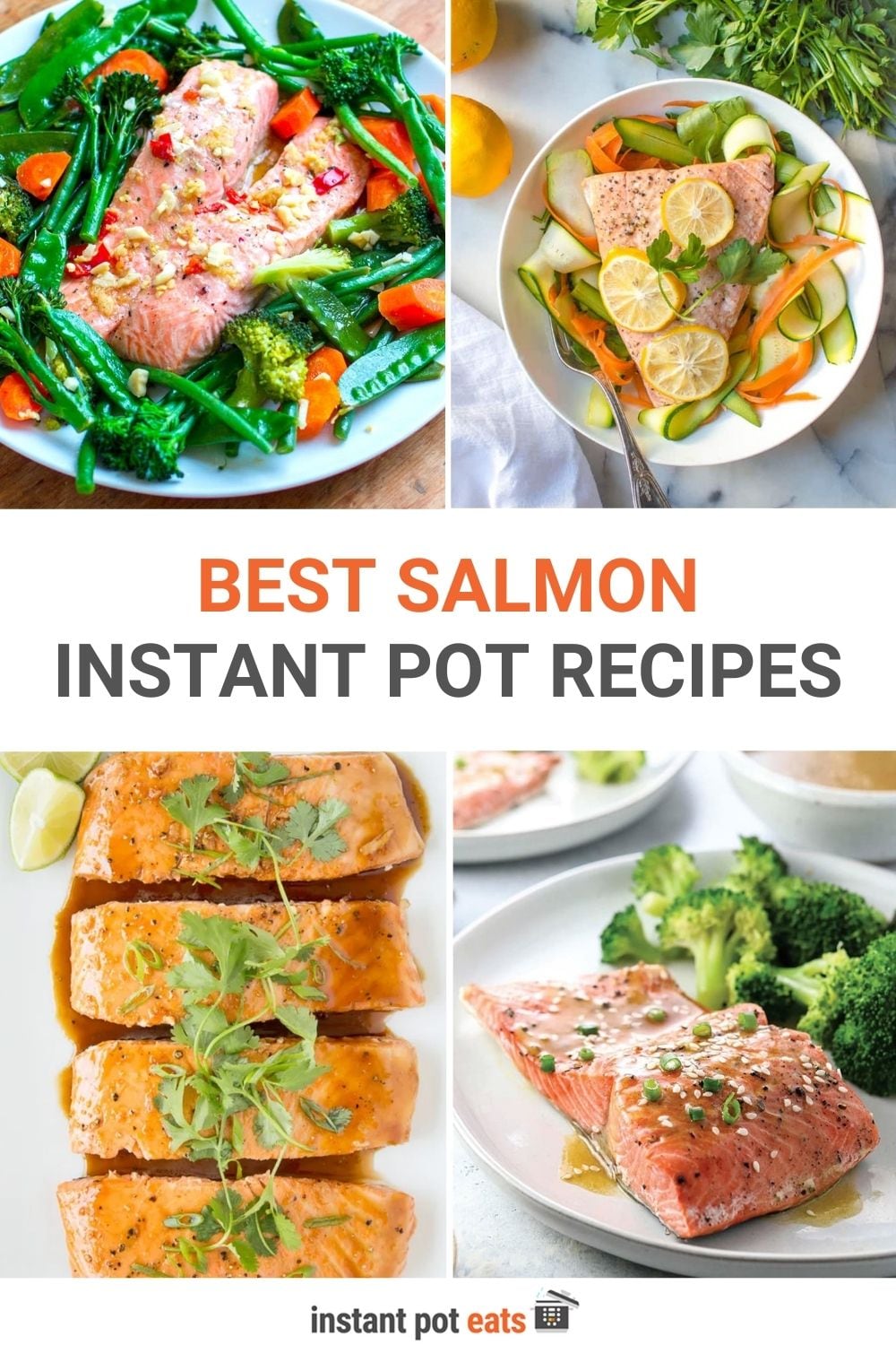 Instant Pot Salmon Recipes