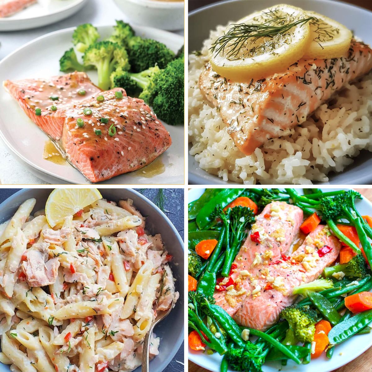 Instant Pot Salmon Recipes 