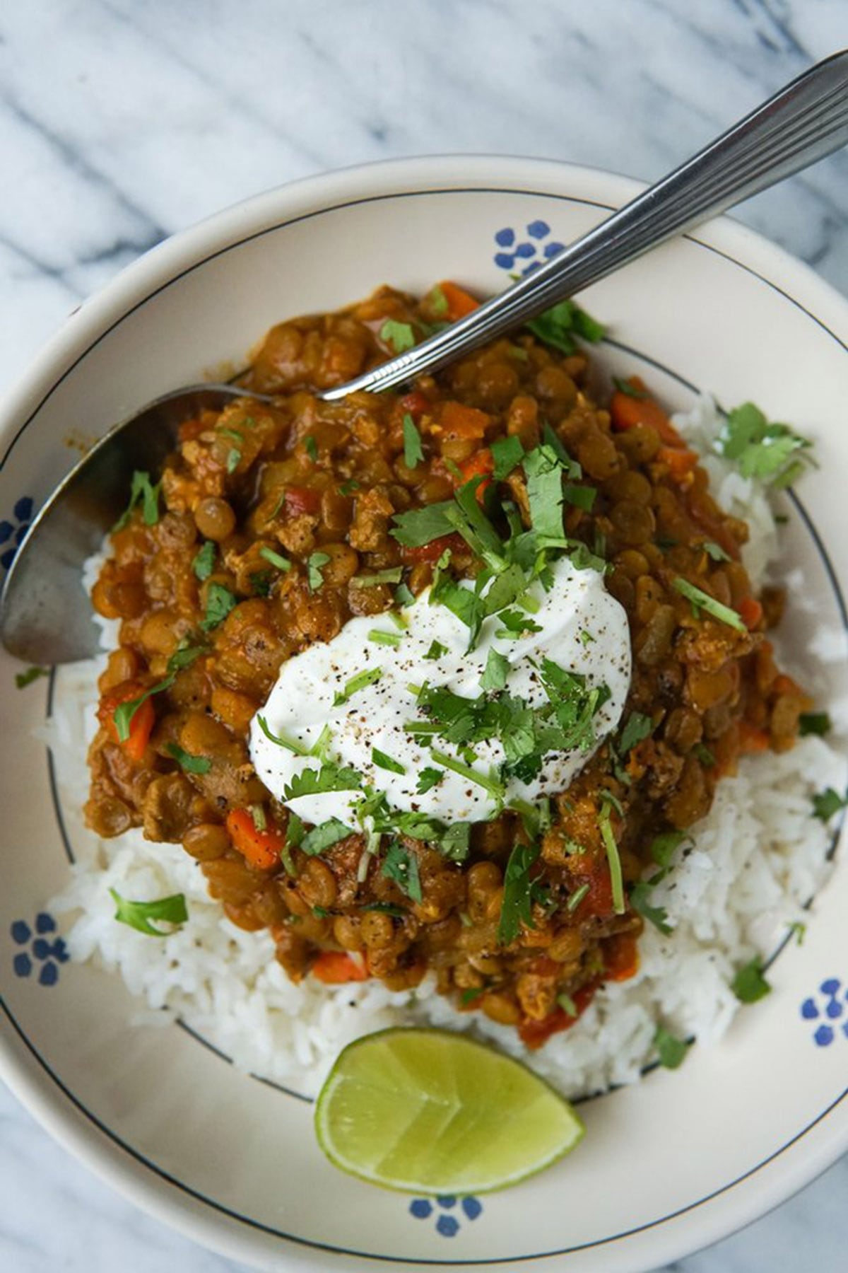 Instant Pot Turkey Lentil Curry
