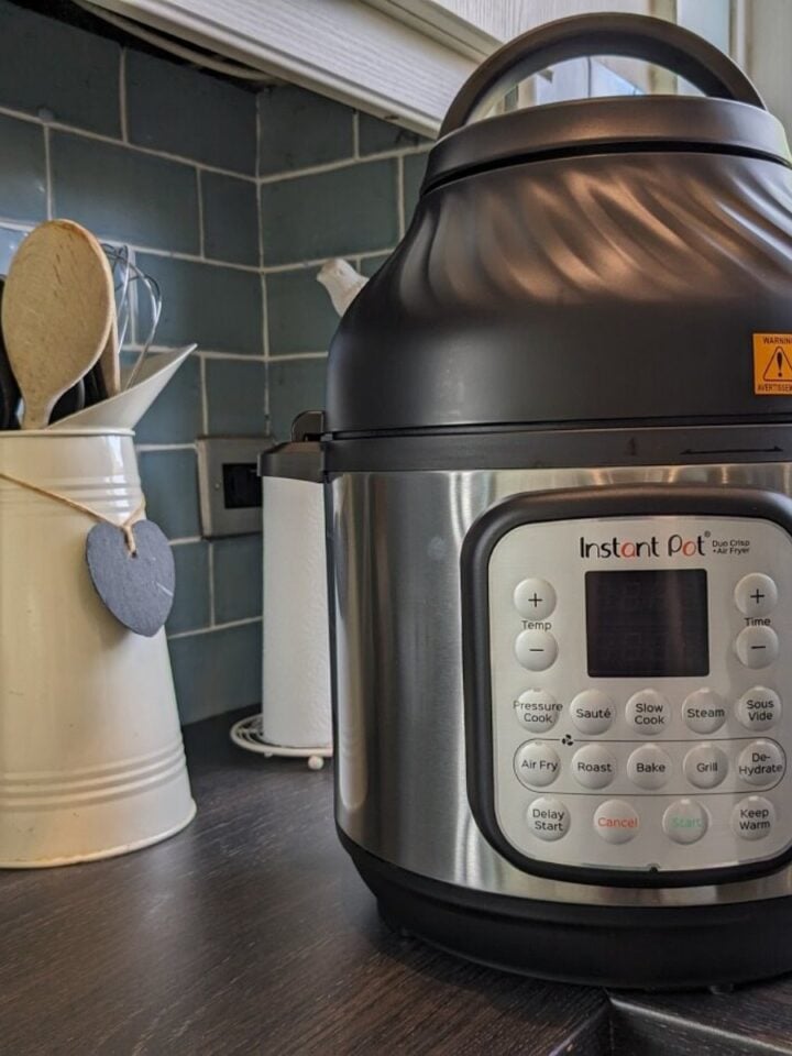 Instant Pot 101 Learn How To Cook The Essential Ingrdients