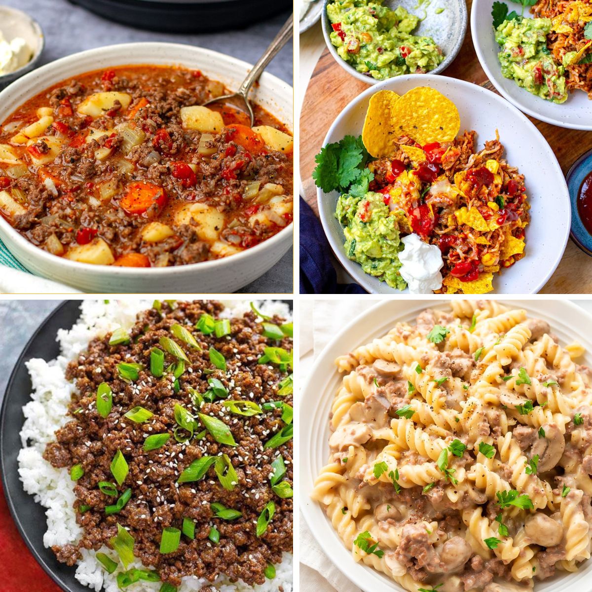 instant pot ground beef recipes