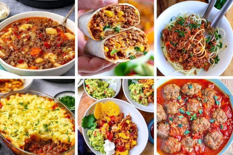 Best Instant Pot Ground Beef Recipes of 2024