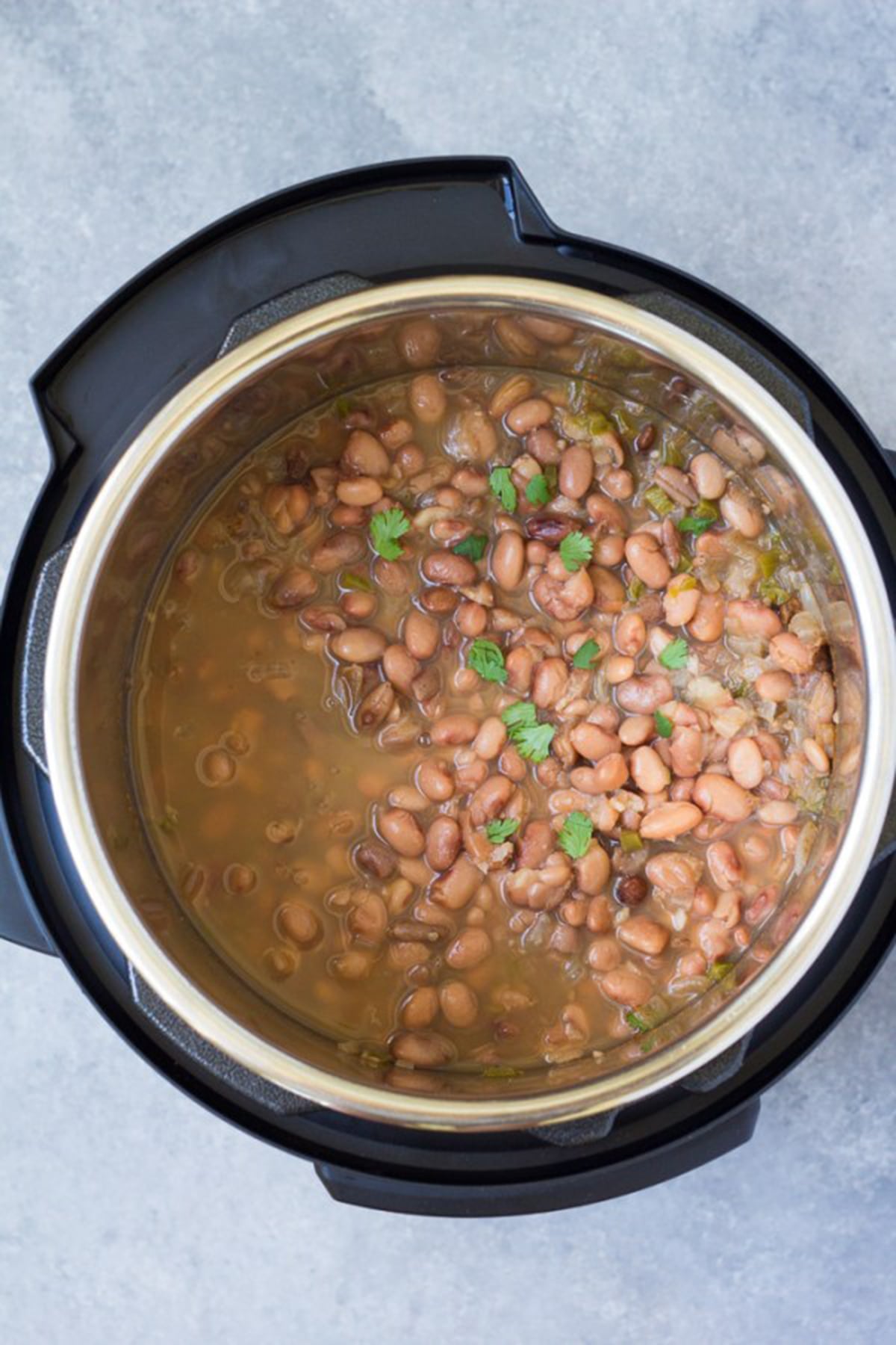 Instant Pot Pinto Beans 