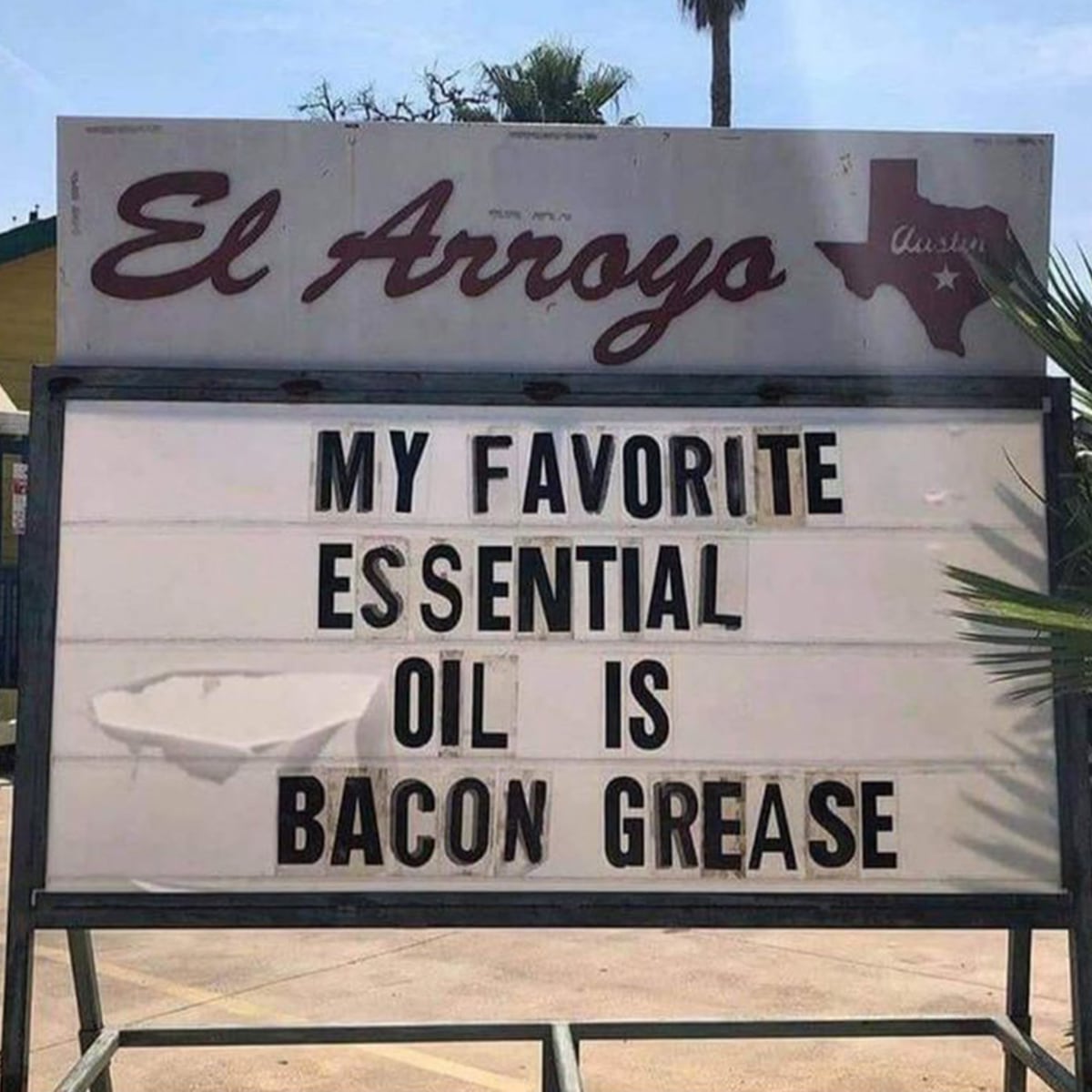 "My Favorite Essential Oil is Bacon Grease"