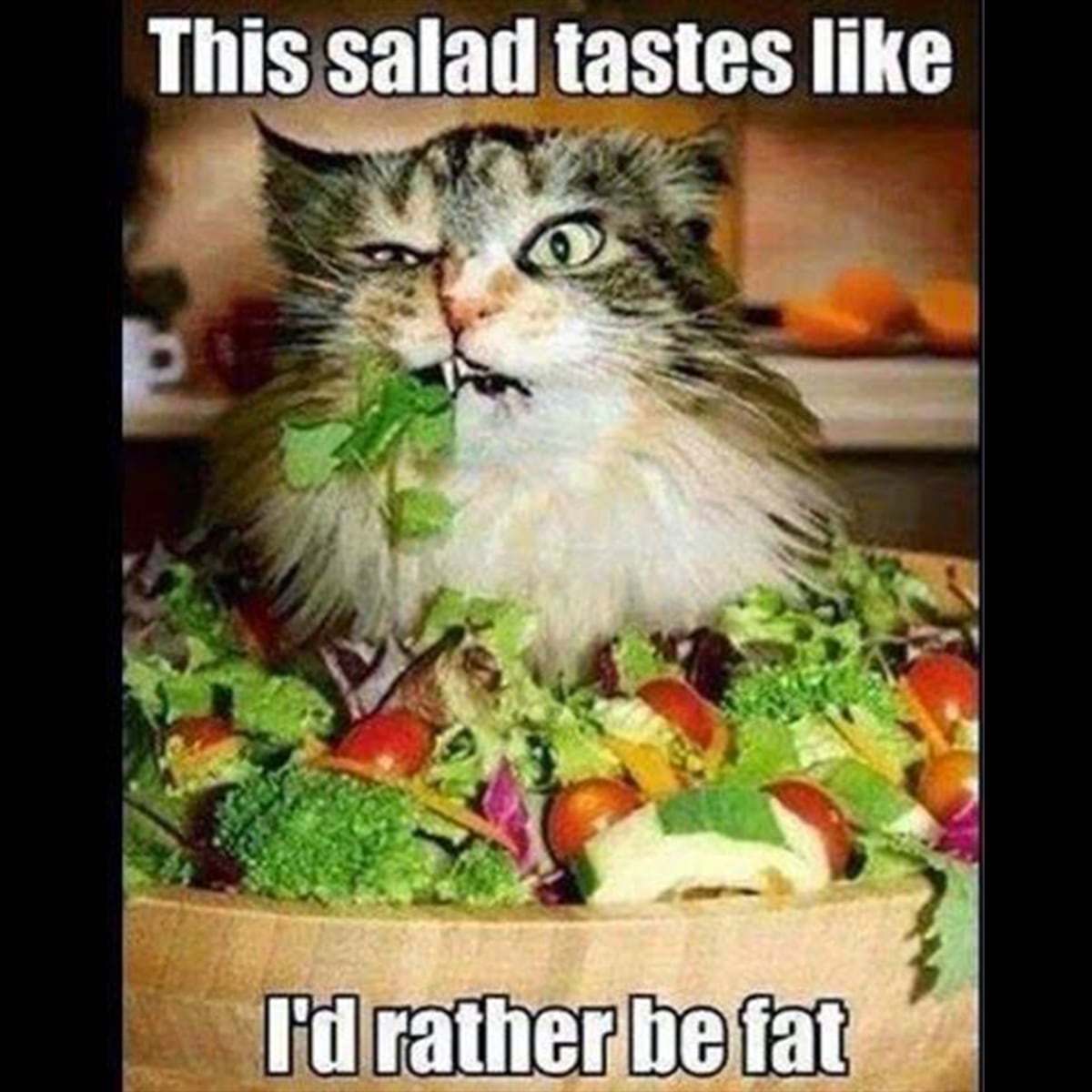 This salad tastes like I'd rather be fat.