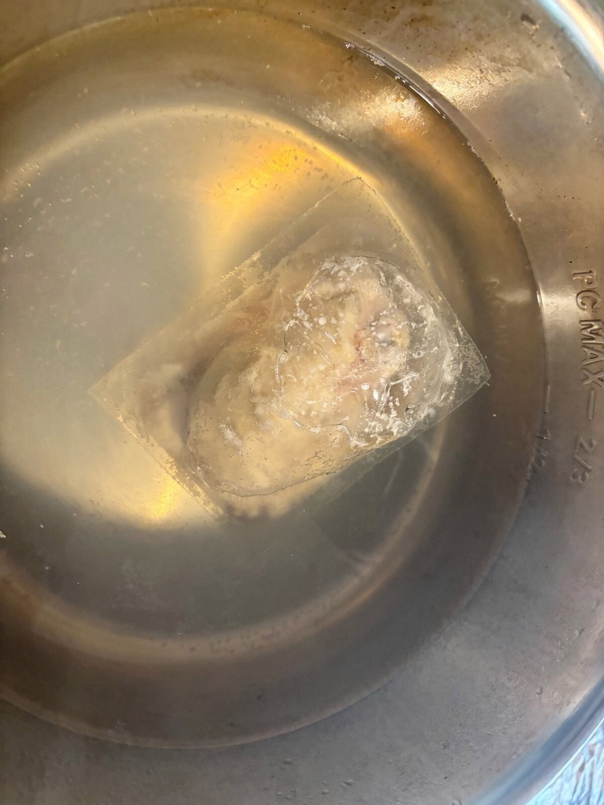 chicken in freezer bag submerged in water inside instant pot