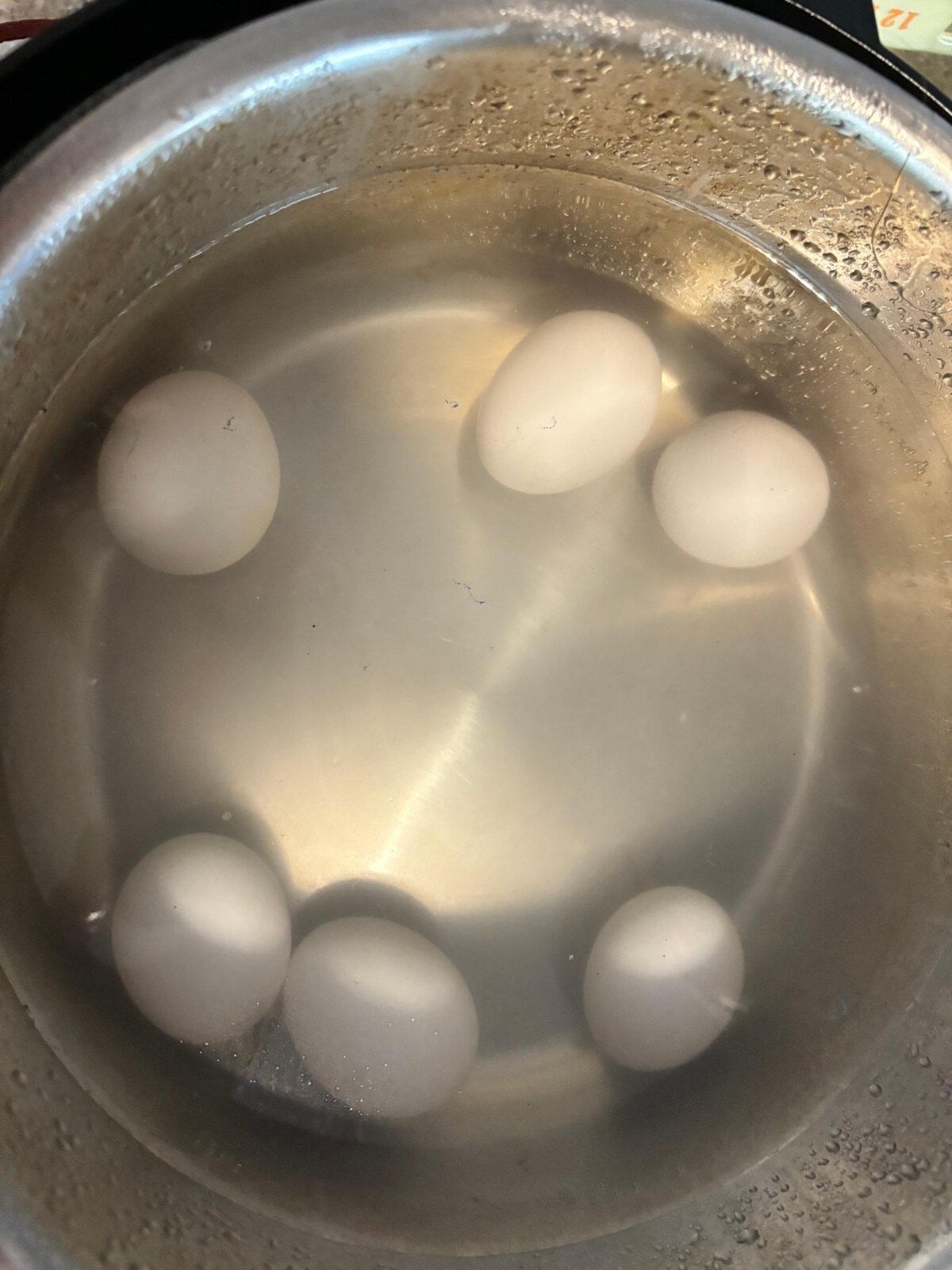 eggs in water in Instant Pot
