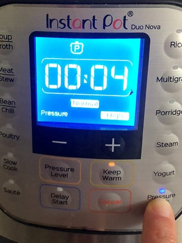 Instant Pot Basics Learn How To Master Your Pressure Cooker