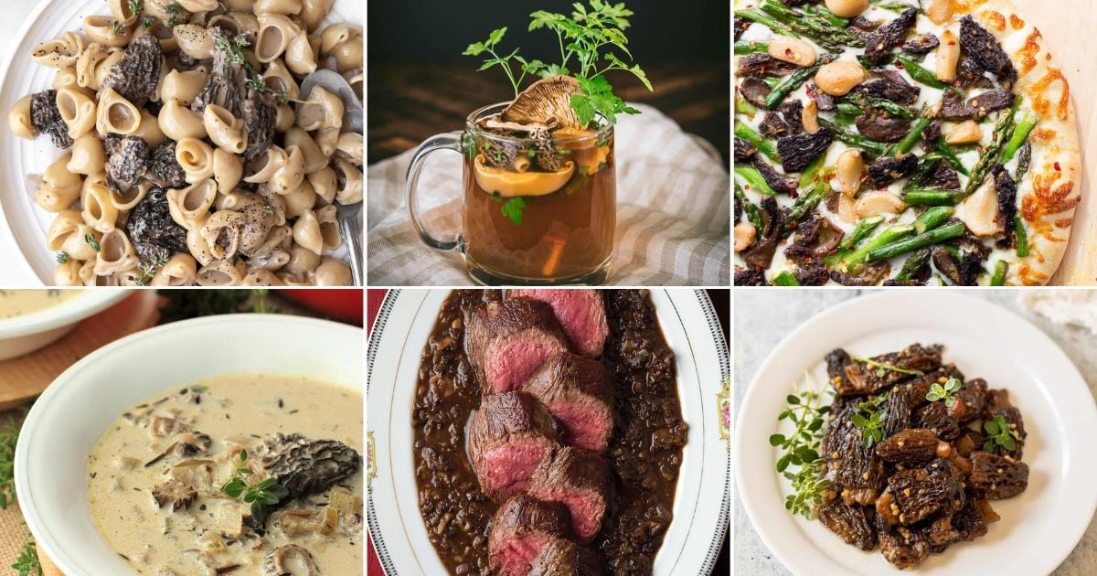 10 Best Morel Mushroom Recipes