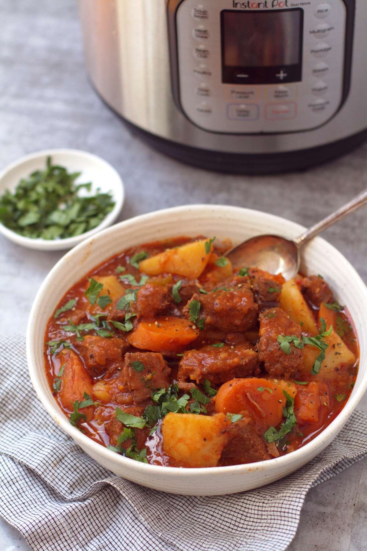 beef stew and an instant pot