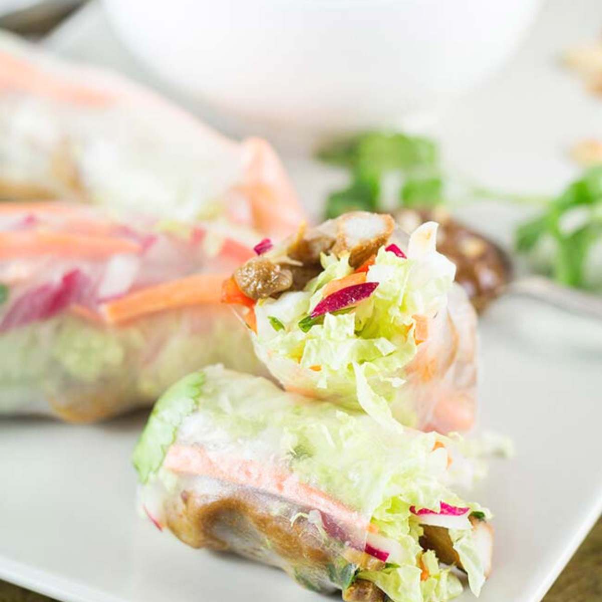 Rice paper rolls on a white plate. cold appetizer recipes