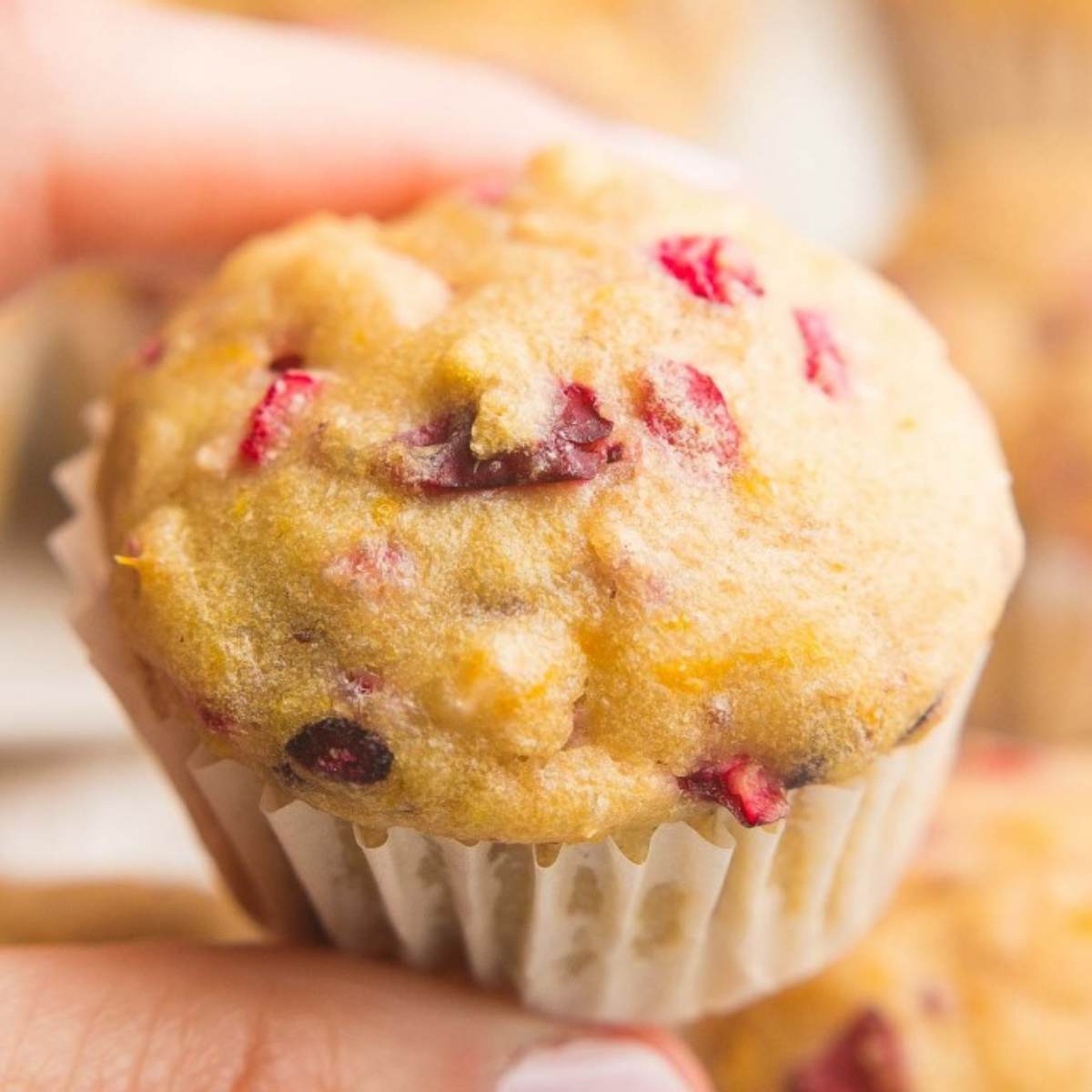 A close-up of a hand holding a single mini cranberry muffin, showing the muffin's texture and the visible cranberries inside.