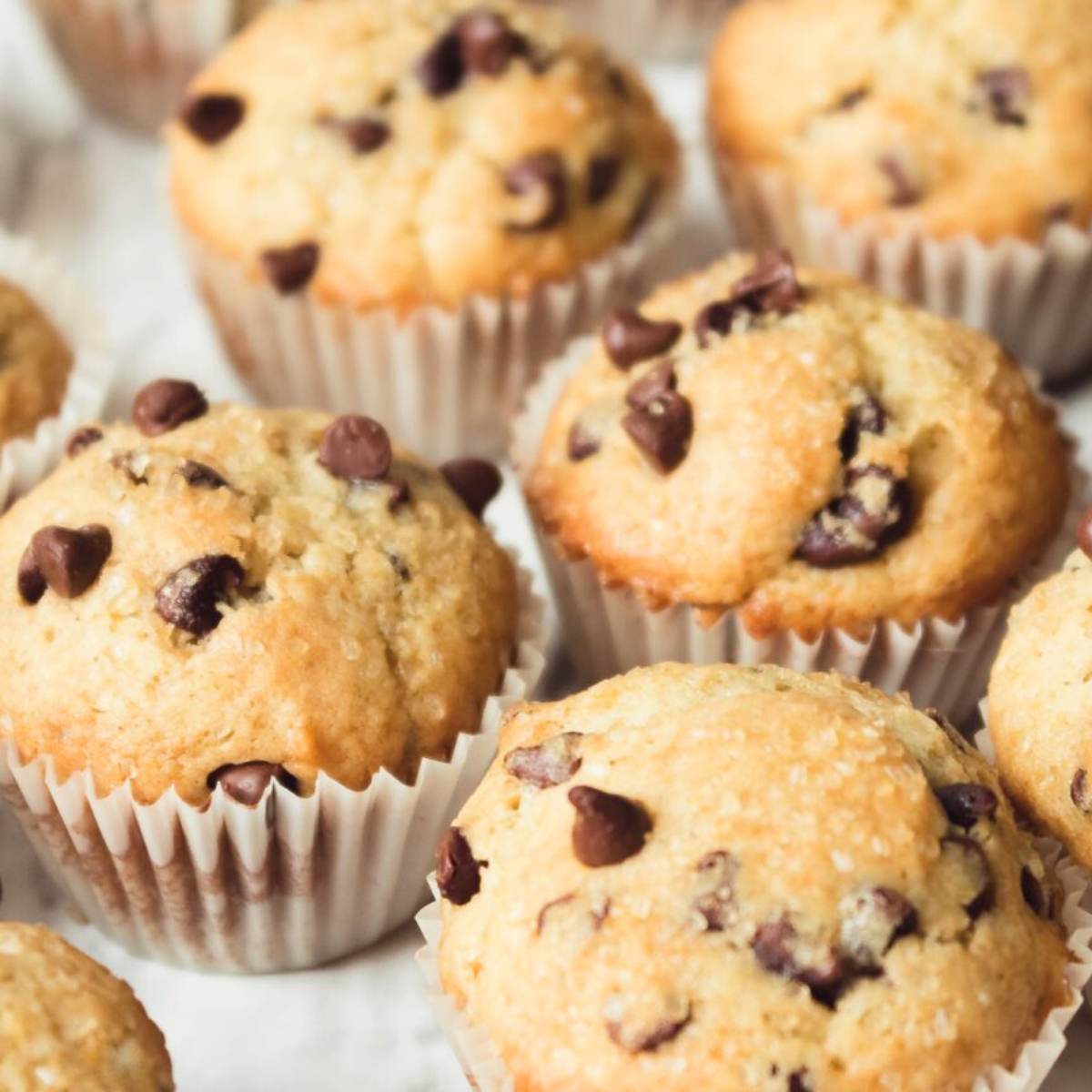 A close-up of several chocolate chip muffins in paper liners.