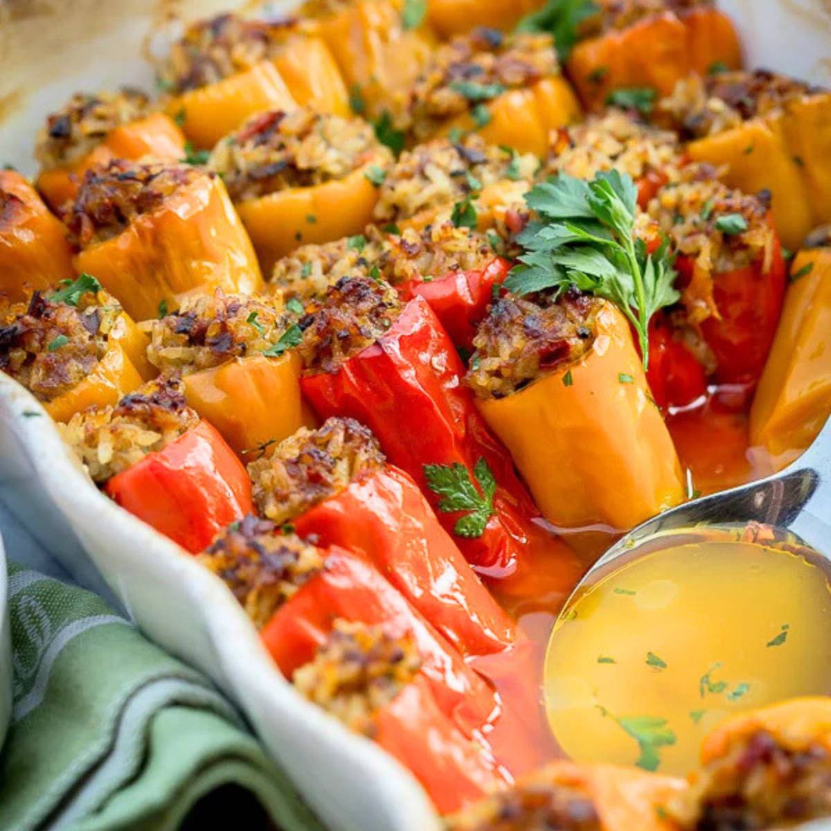  Baked stuffed mini peppers with a rice and meat filling, served in a white dish with a ladle of sauce.