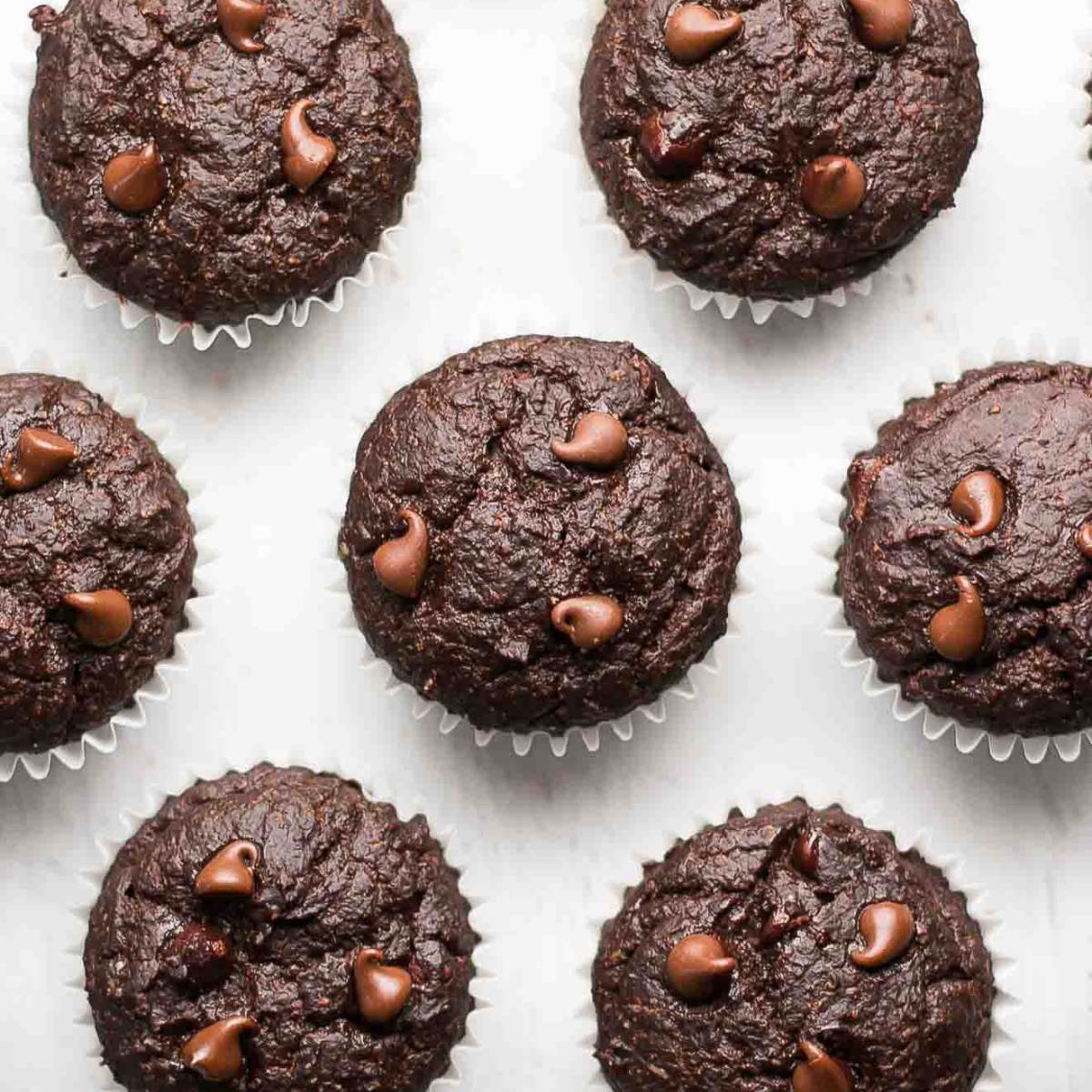 A group of chocolate muffins with chocolate chips on top, arranged in a grid.