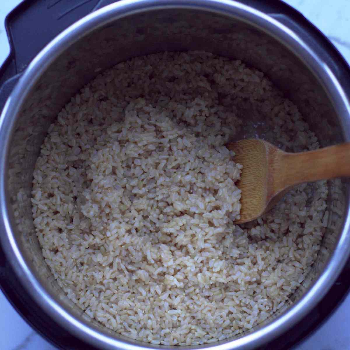 instant pot brown rice