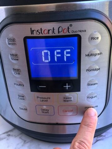 Instant Pot Keep Warm Guide Maximize Flavor Convenience