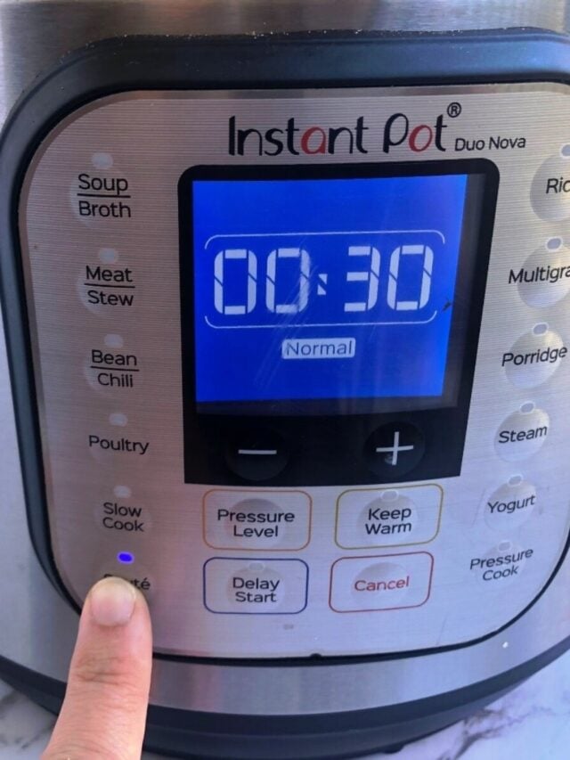 Instant Pot Settings & Buttons Explained (Not Just For Beginners!)
