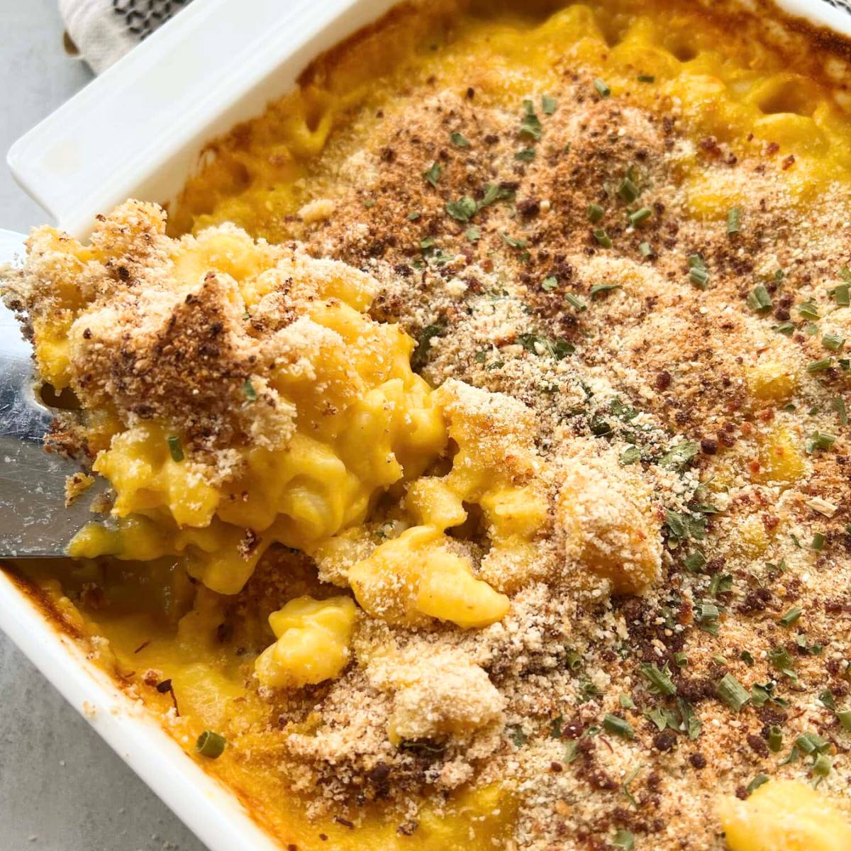 A golden-brown, cheesy macaroni and cheese casserole with a crispy breadcrumb topping.