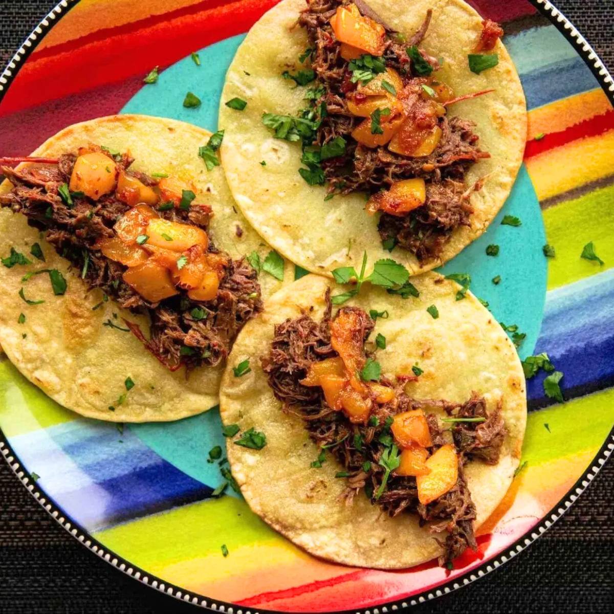 A colorful plate of delicious-looking tacos. The tacos are filled with shredded pheasant and topped with a chunky salsa. A sprinkle of fresh cilantro adds a touch of green.