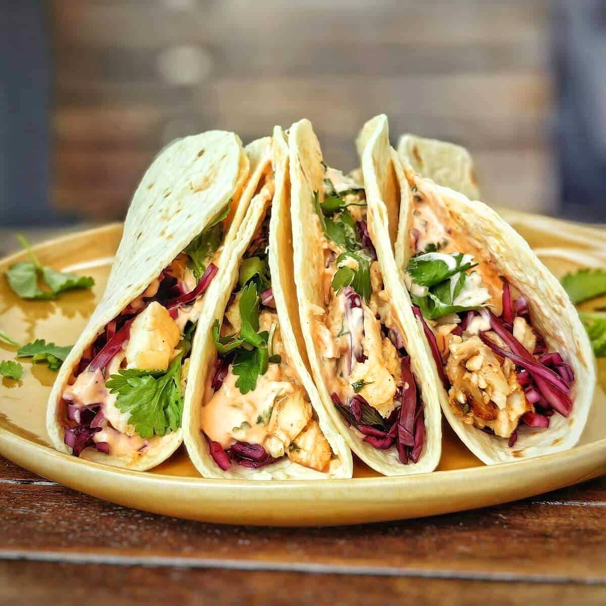 A plate of four tacos filled with shredded chicken, red cabbage, and a creamy sauce.