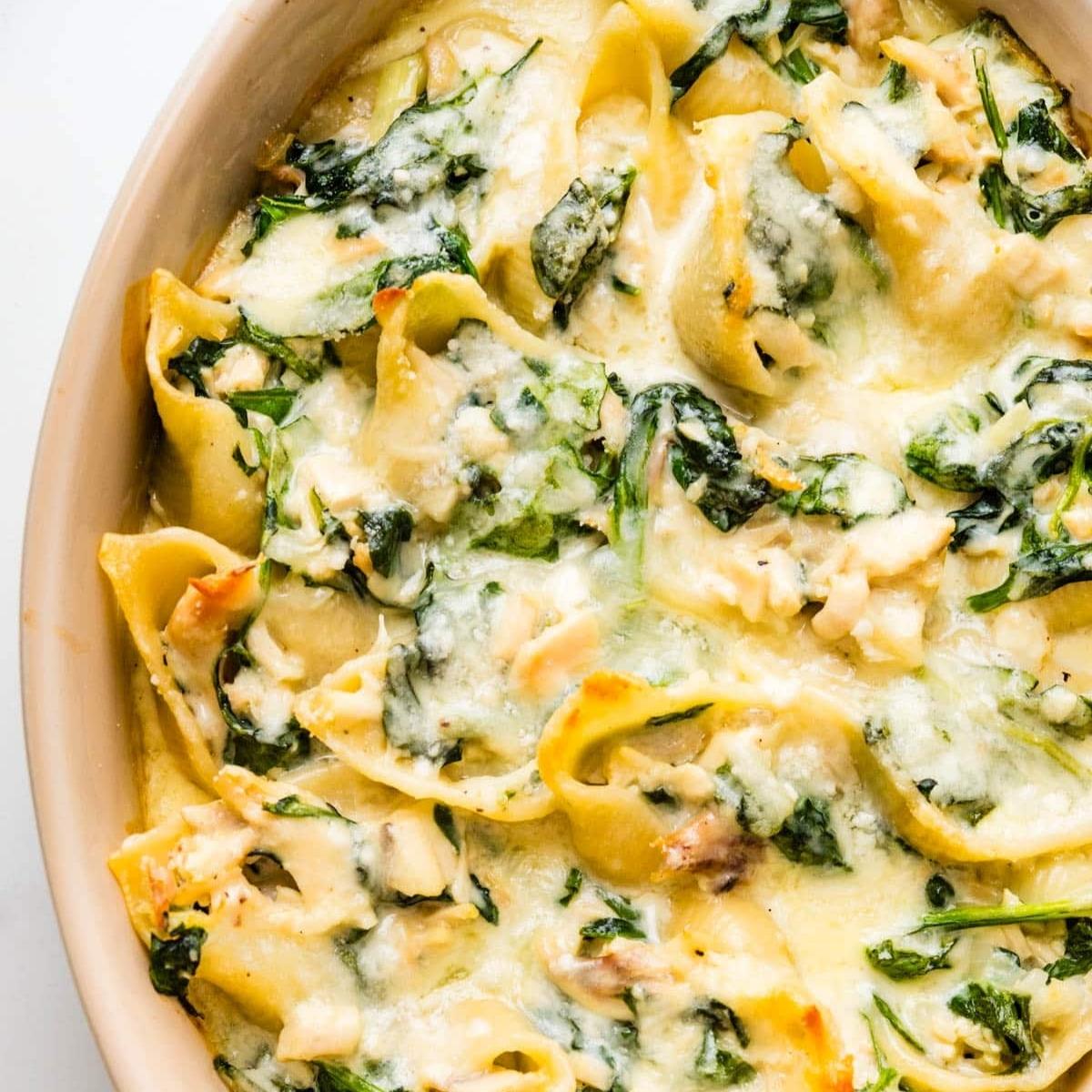 A close-up of a creamy, cheesy chicken and spinach stuffed shells casserole. 