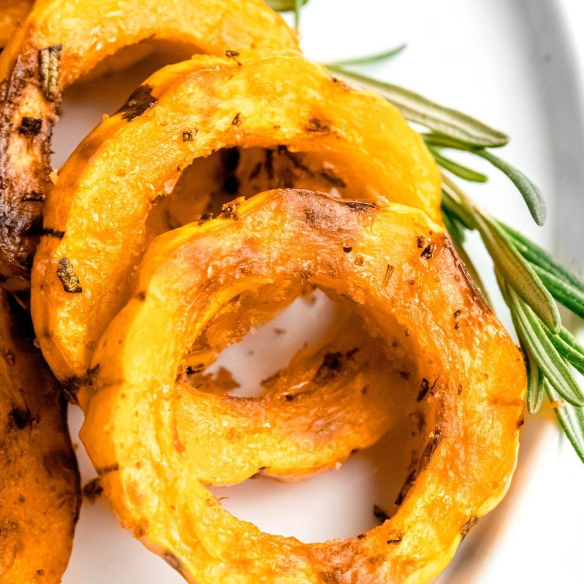 A close-up of air fried delicata squash rings on a plate. The squash rings are golden brown and seasoned with herbs. A sprig of rosemary is placed next to them.