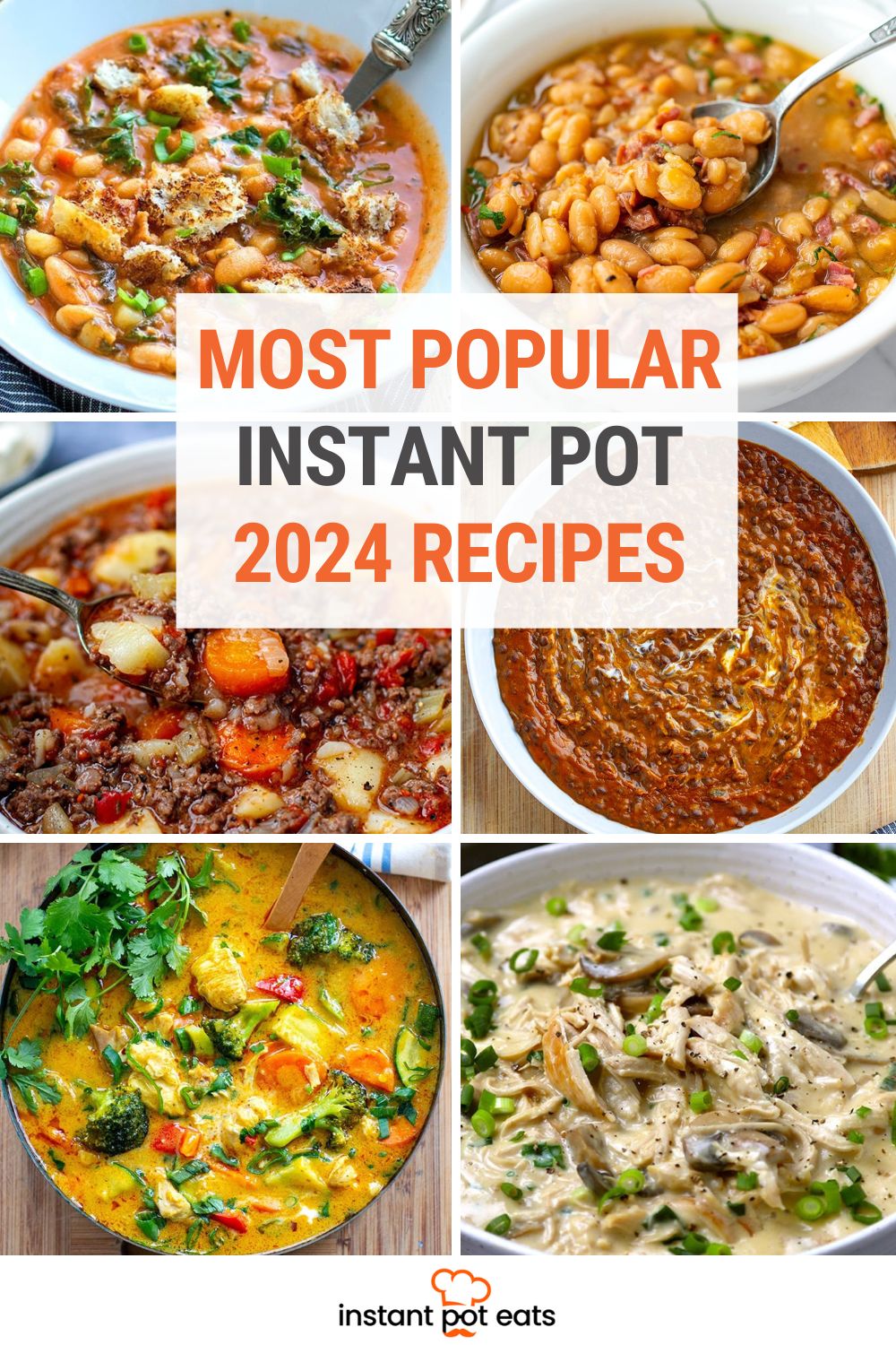 Most Popular Instant Pot Recipes In 2024