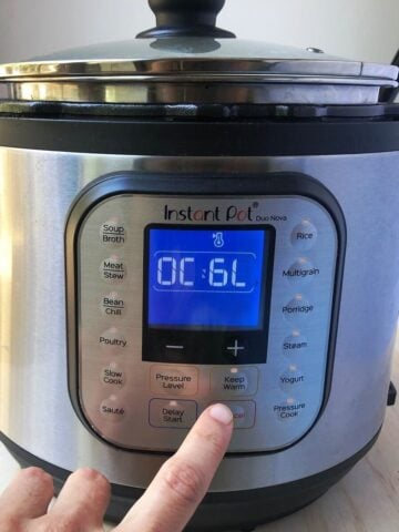 c6l Instant pot error