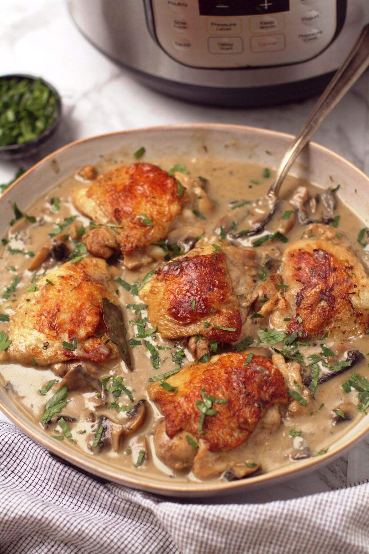 chicken fricasse
