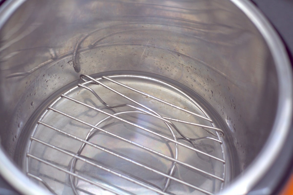 water in an intsant pot