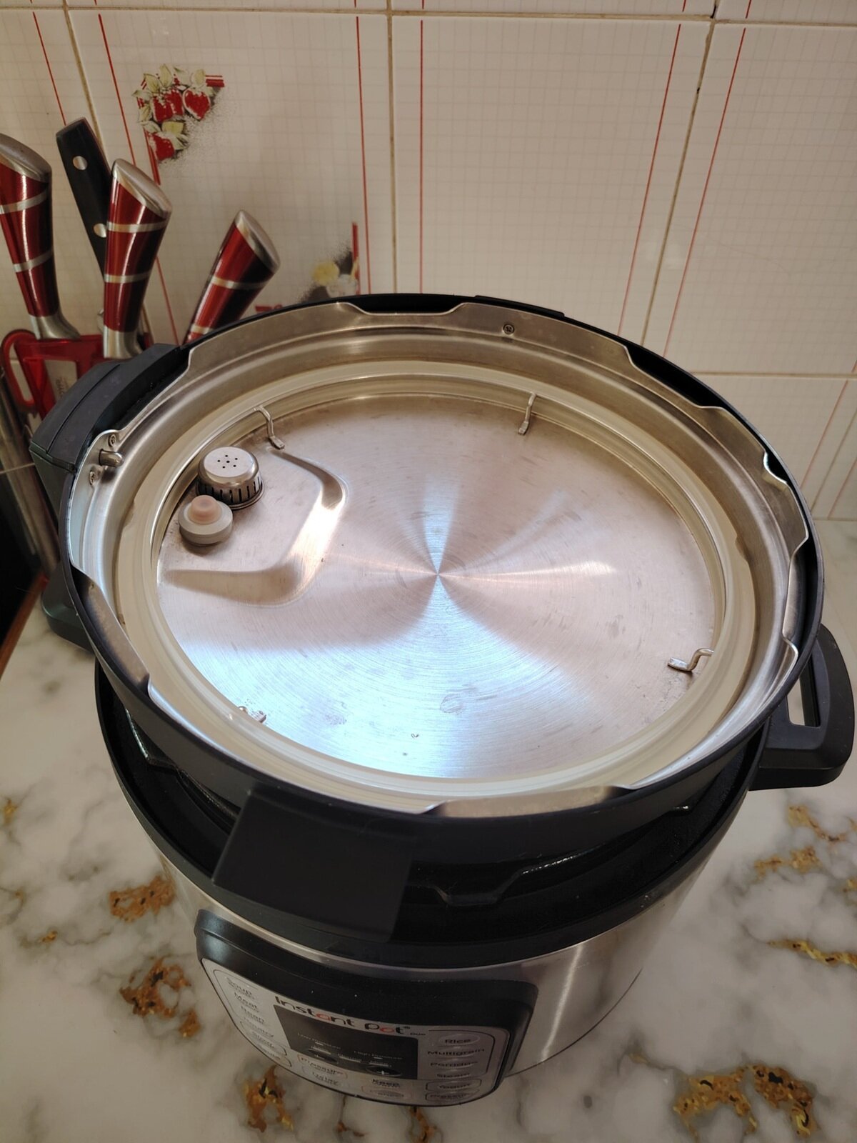 instant pot with open lid, top view