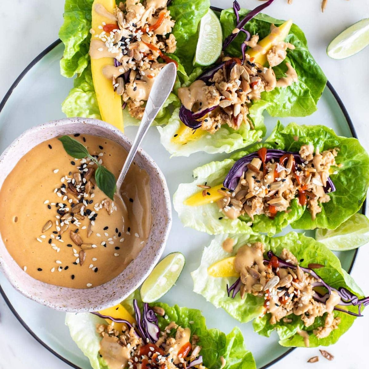 Thai Chicken Lettuce Wraps