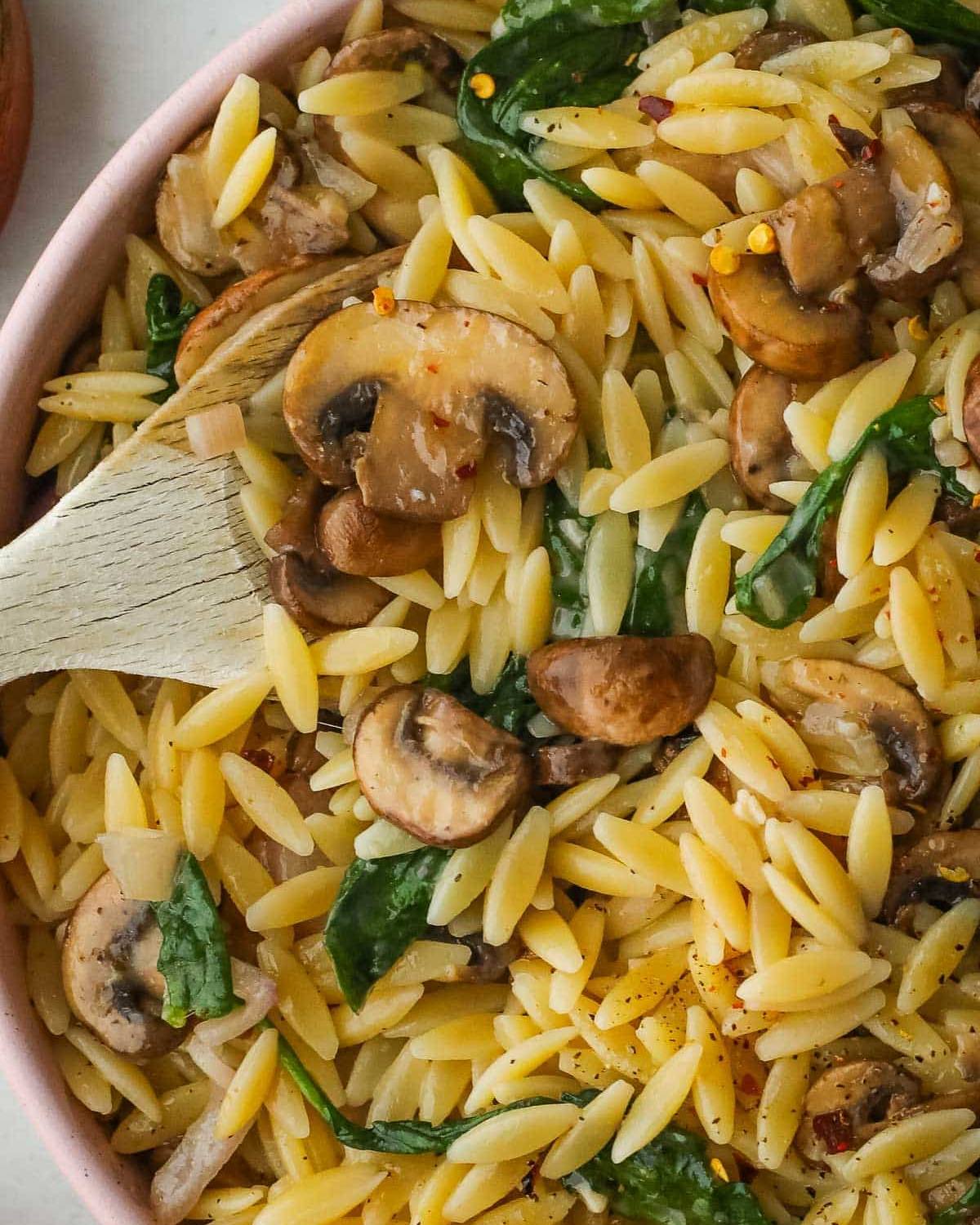 Here are search engine optimized alternative text options for this pasta dish image, keeping the language fresh and completely different from previous suggestions:
Primary SEO-Optimized Alt Text:
Creamy garlic orzo pasta tossed with sautรฉed mushrooms, baby spinach, and red pepper flakes.