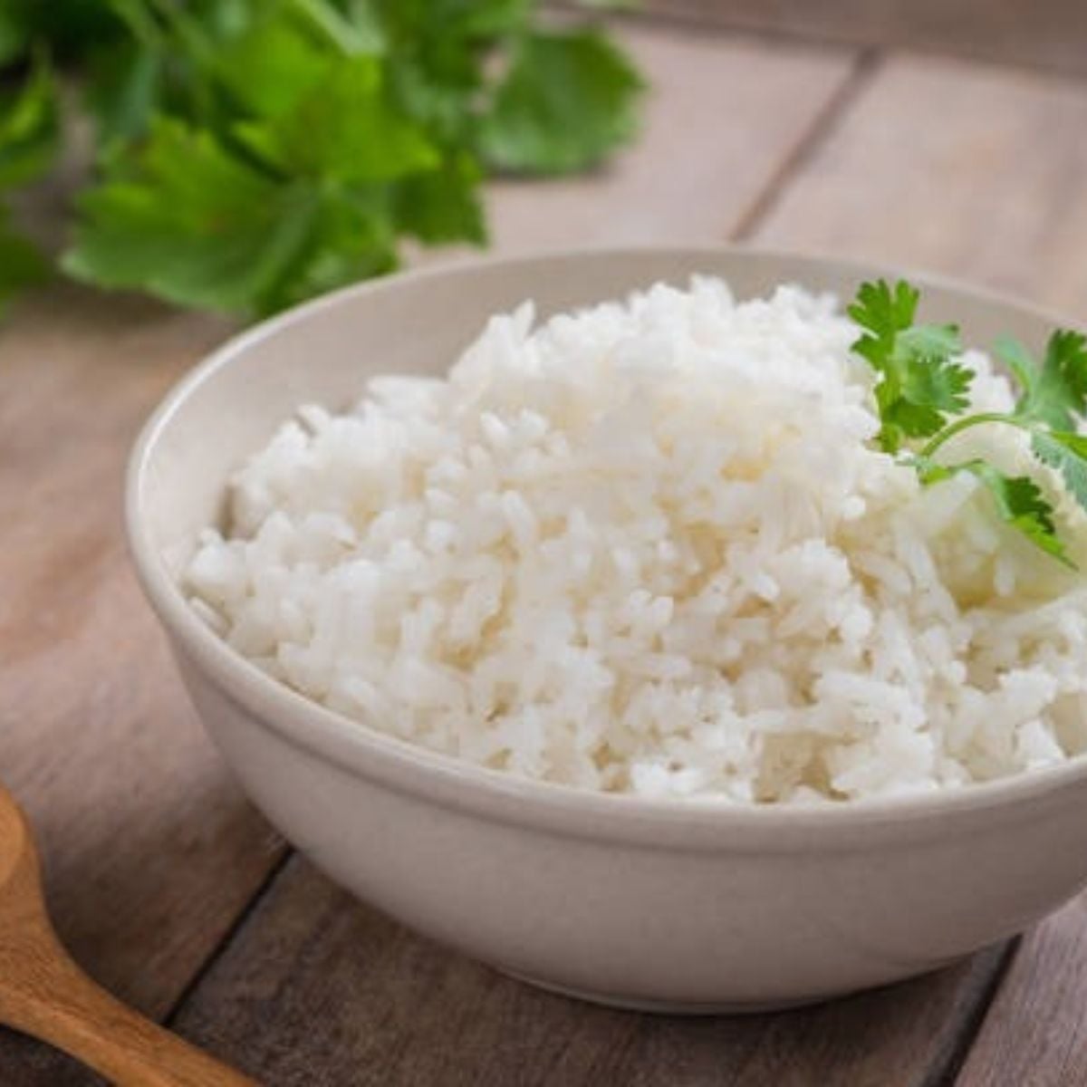 Rice in a white bowl with fresh parsley on top